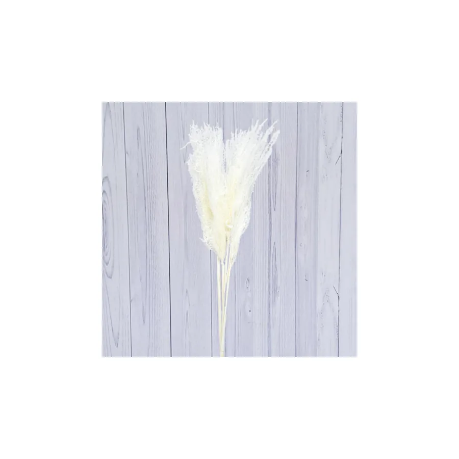 Silver Grass – per bunch